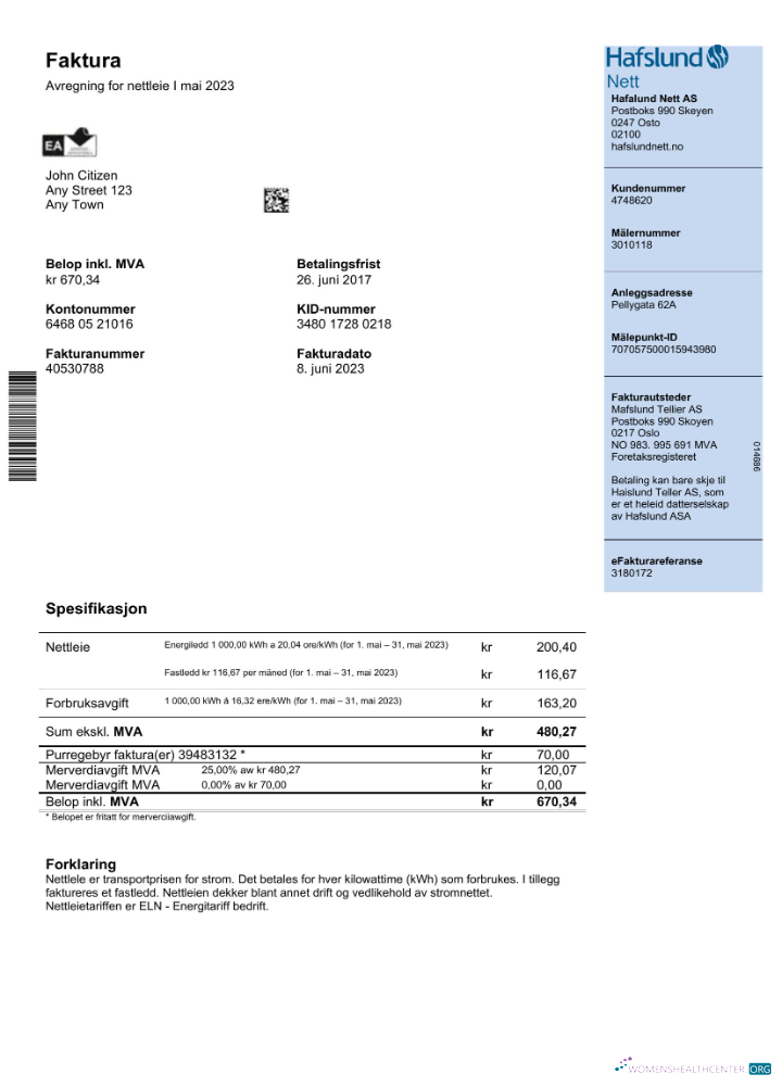 download download Norway Hafslund utility bill Word and PDF template PDF template PDF template